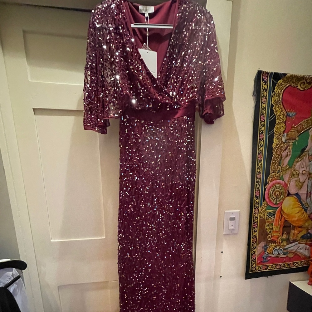Maya deluxe maroon sequin gown